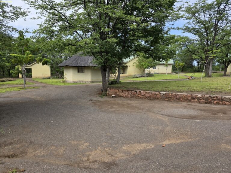 Robins Camp Hwange NP