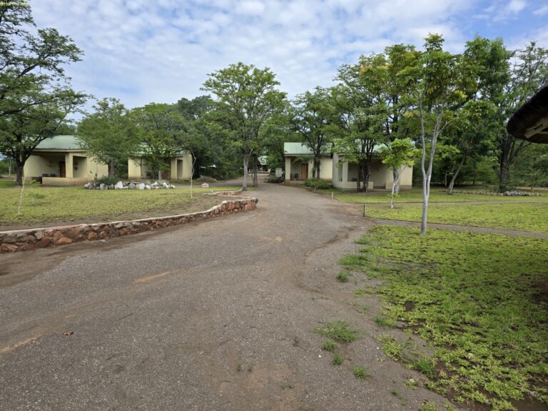 Robins Camp Hwange NP