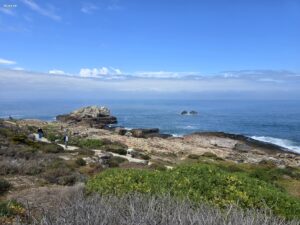Westkap Hermanus