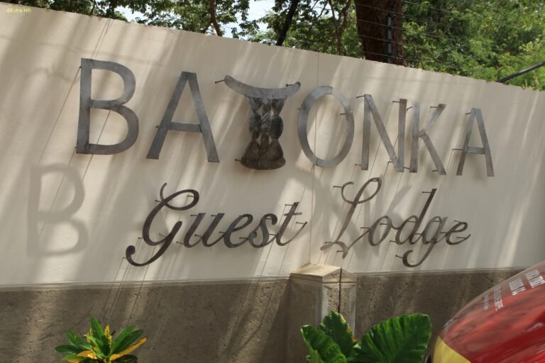 Zimbabwe 07a Vik Falls Batonga Guest Lodge