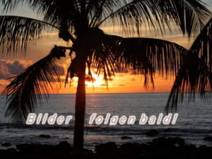 Bilder folgen