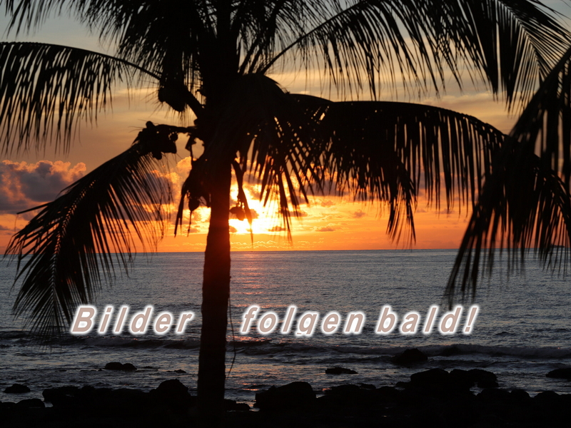 Bilder folgen