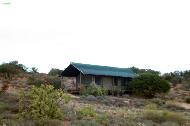Buffelsdrift Camp ©ExtraHR 112