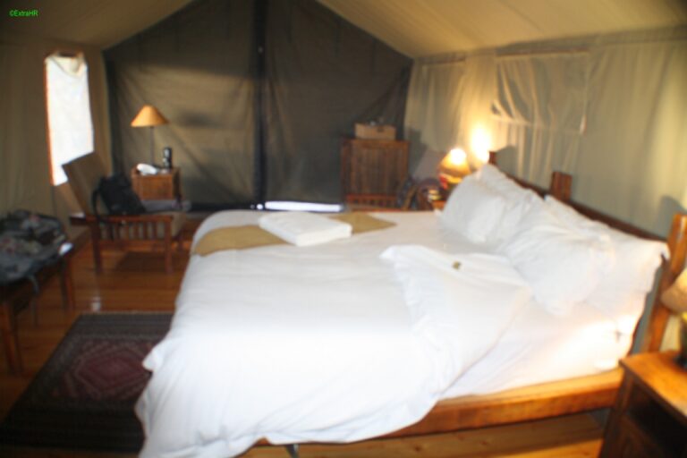Buffelsdrift Camp ©ExtraHR 118
