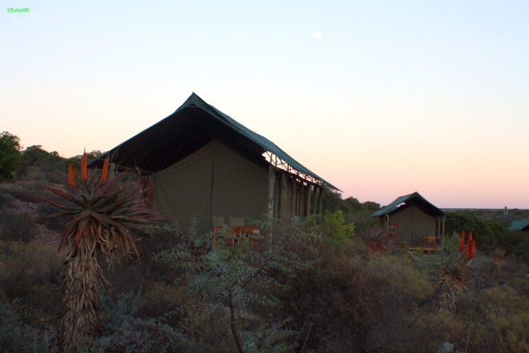 Buffelsdrift Camp ©ExtraHR 126
