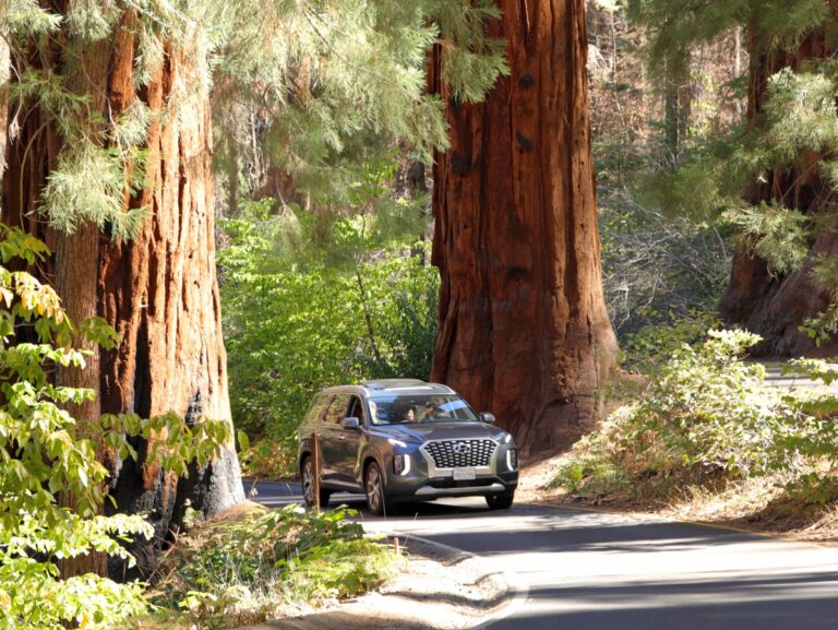 Californien Kings Canyon NP ©ExtraHR 104