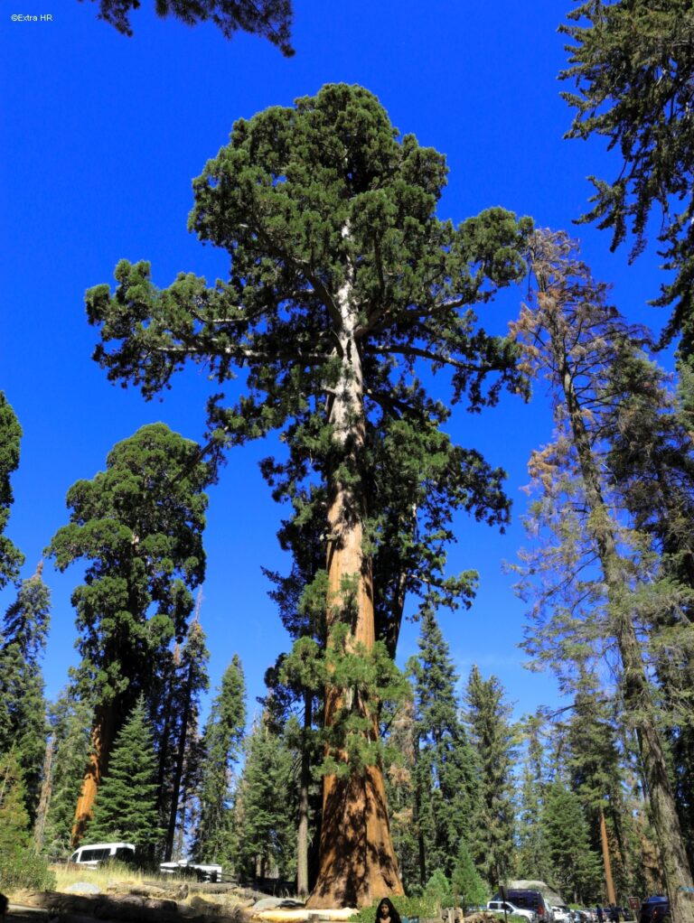 Californien Kings Canyon NP ©ExtraHR 110