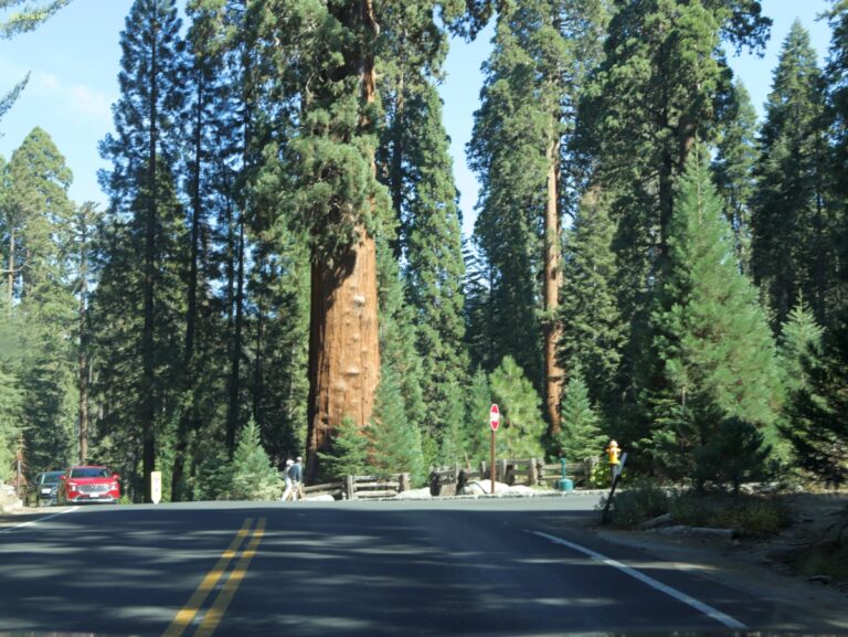 Californien Kings Canyon NP ©ExtraHR 112