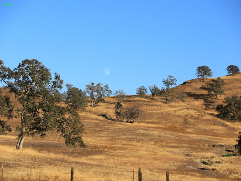 Californien ©ExtraHR 102
