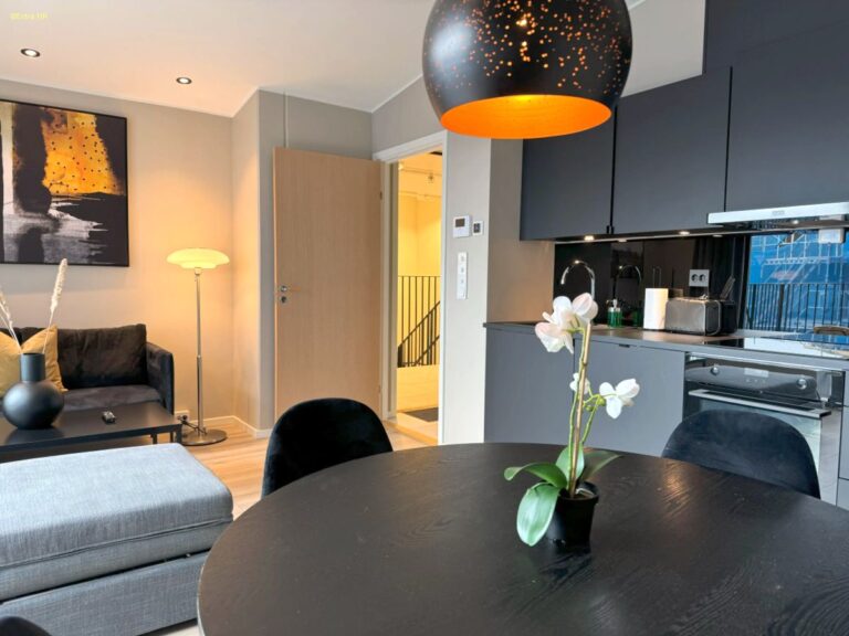 City Center Vervet Apartment