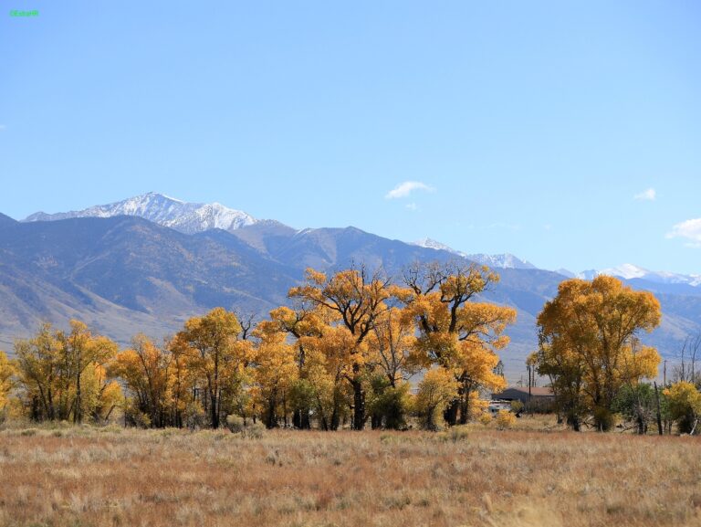 Colorado