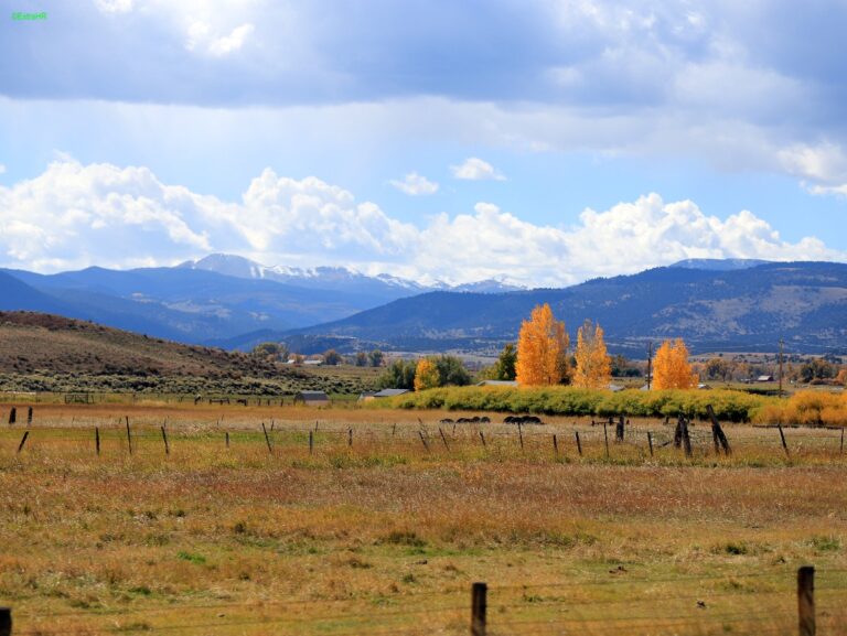 Colorado
