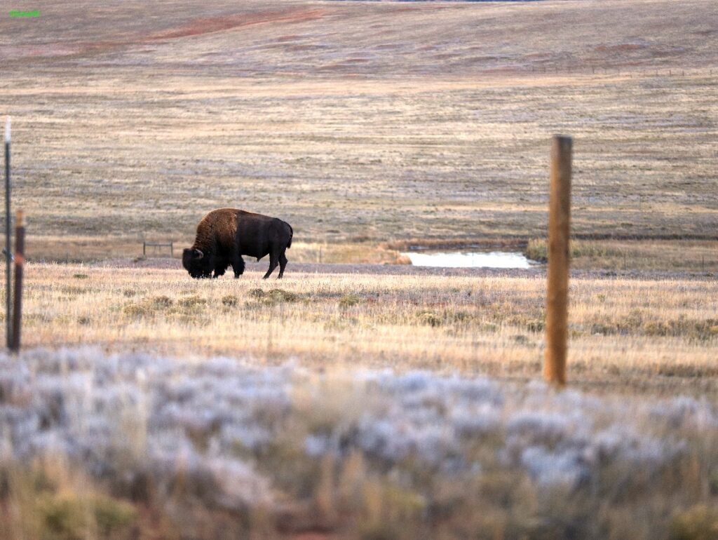 Colorado