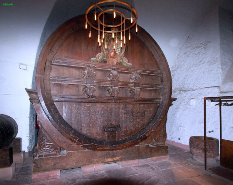 Heidelberg ©ExtraHR 107