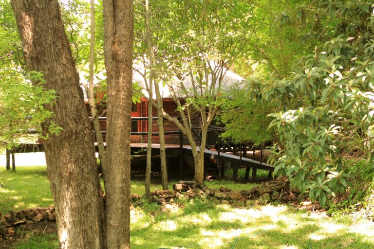 Kubu Lodge Kasane
