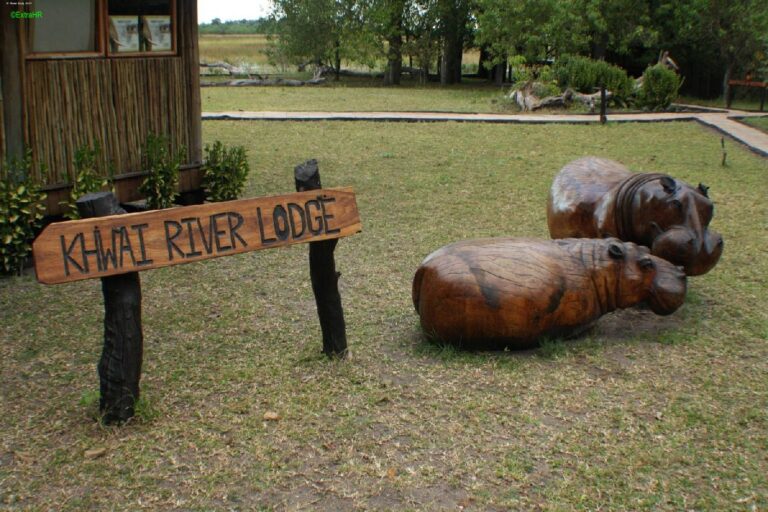 Khwai River Lodge SA ©ExtraHR 100