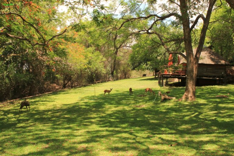 Kubu Lodge Kasane ©ExtraHR 111