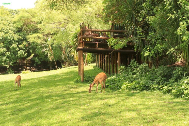 Kubu Lodge Kasane ©ExtraHR 116