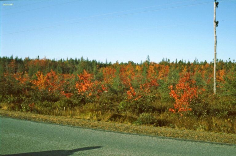 Nova Scotia New Brunswik ©ExtraHR 110