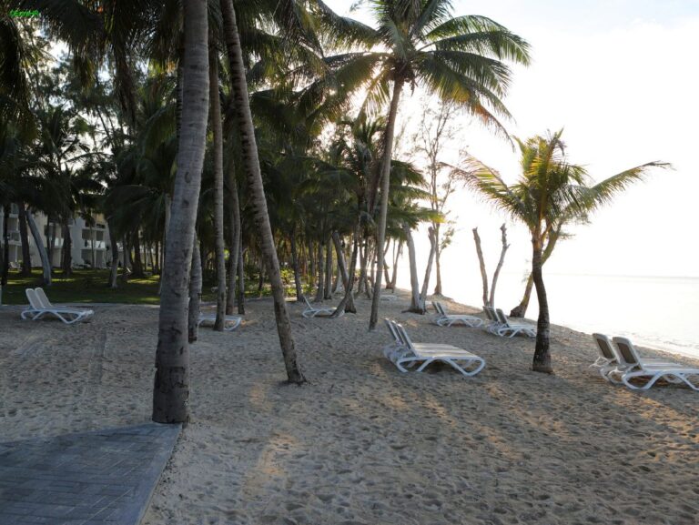 RIU Creol Hotel ©ExtraHR 105