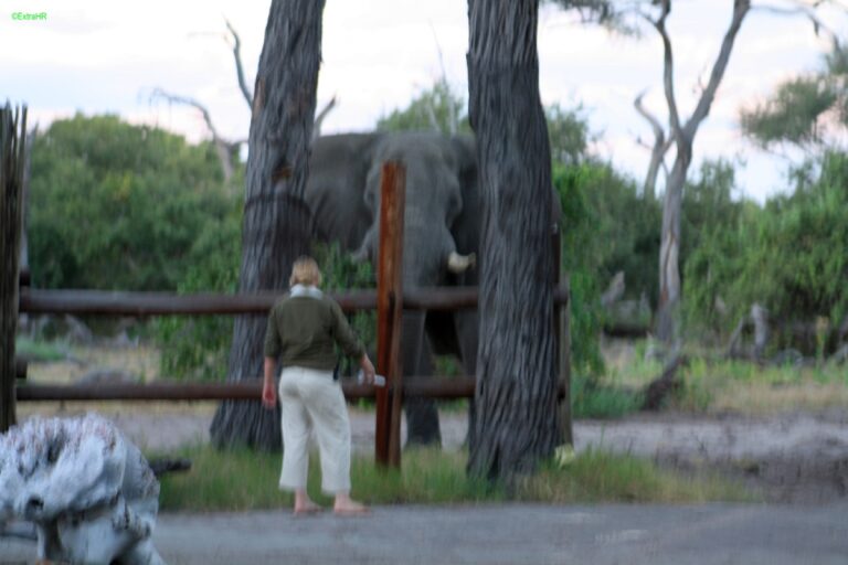 Savute Elephant Camp ©ExtraHR 109