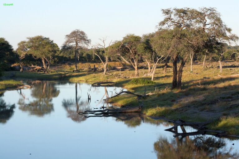 Savute Elephant Camp ©ExtraHR 119