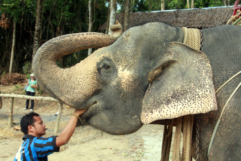 Thailand Khao Lak ©ExtraHR 13