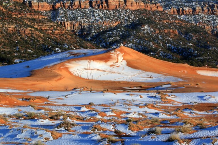 Utha Coral Pink Sand Dunes State Park ©ExtraHR 12