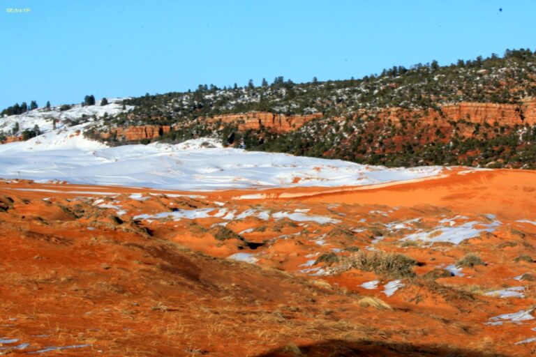 Utha Coral Pink Sand Dunes State Park ©ExtraHR 14