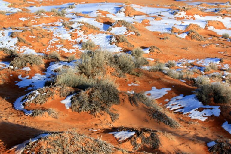 Utha Coral Pink Sand Dunes State Park ©ExtraHR 15