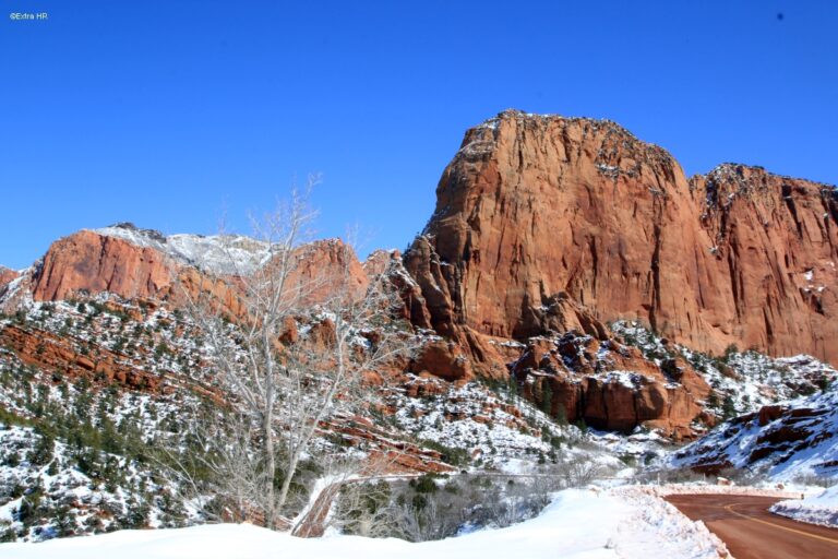 Utha Zion National Park ©ExtraHR 11