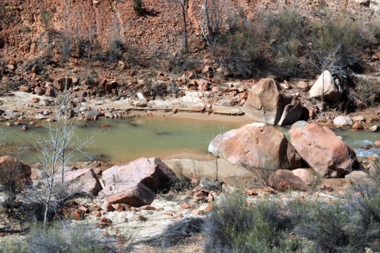 Utha Zion National Park ©ExtraHR 16