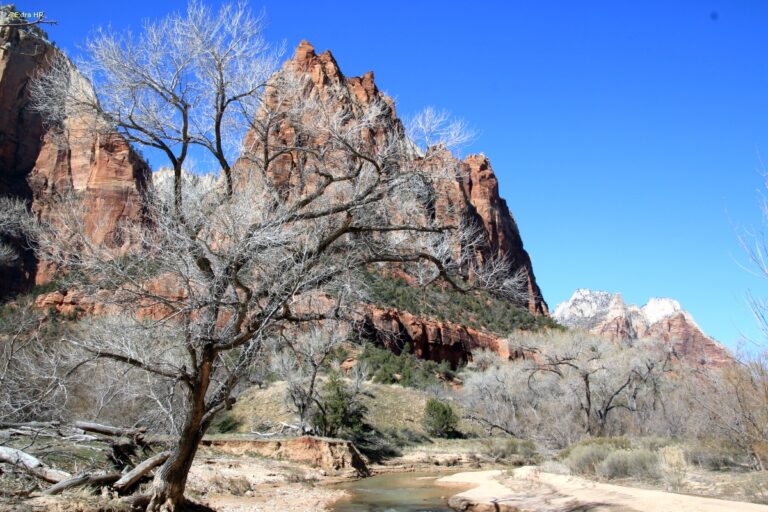 Utha Zion National Park ©ExtraHR 17