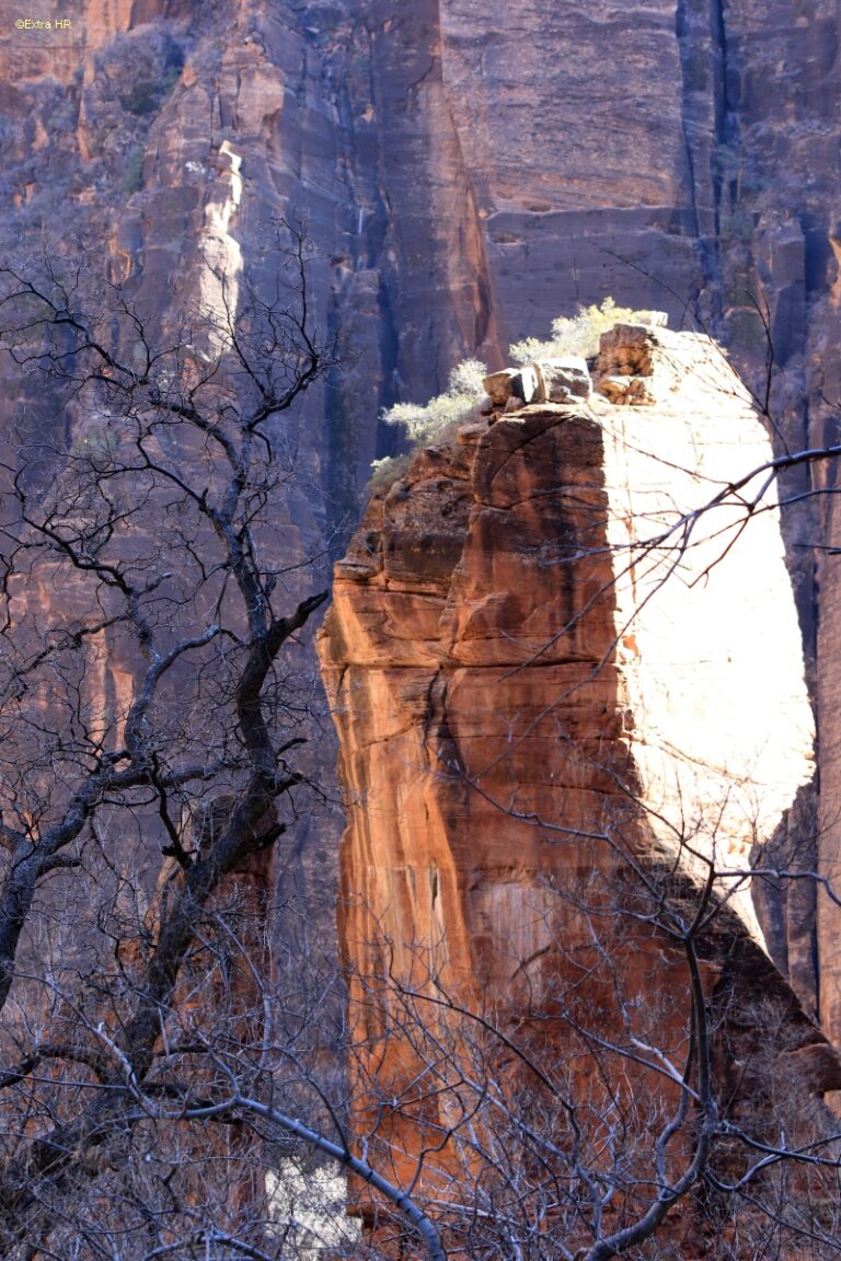 Utha Zion National Park ©ExtraHR 24