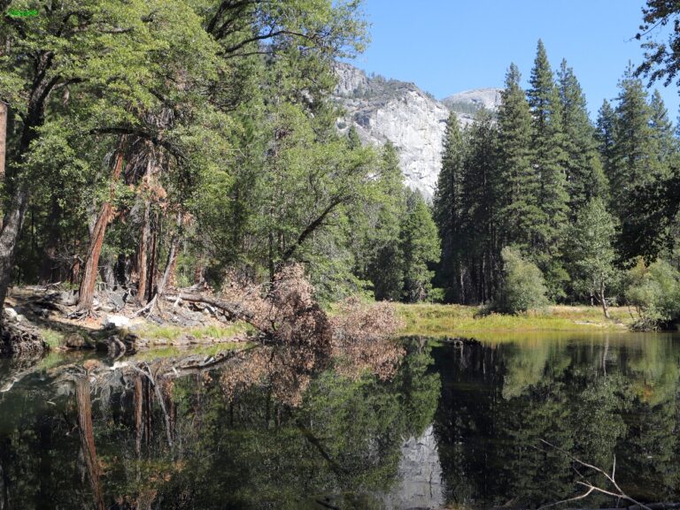 Yosemite NP ©ExtraHR 102