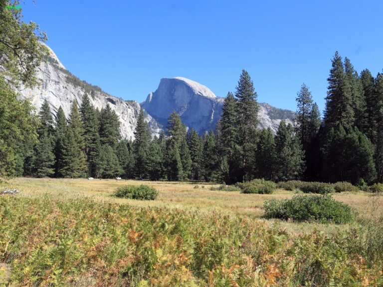 Yosemite NP ©ExtraHR 108