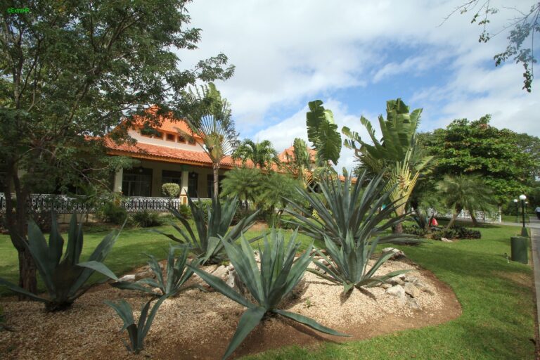 Yucatan Cancun